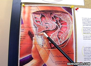 pics g-spot education