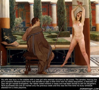 ariel punished astride wedge